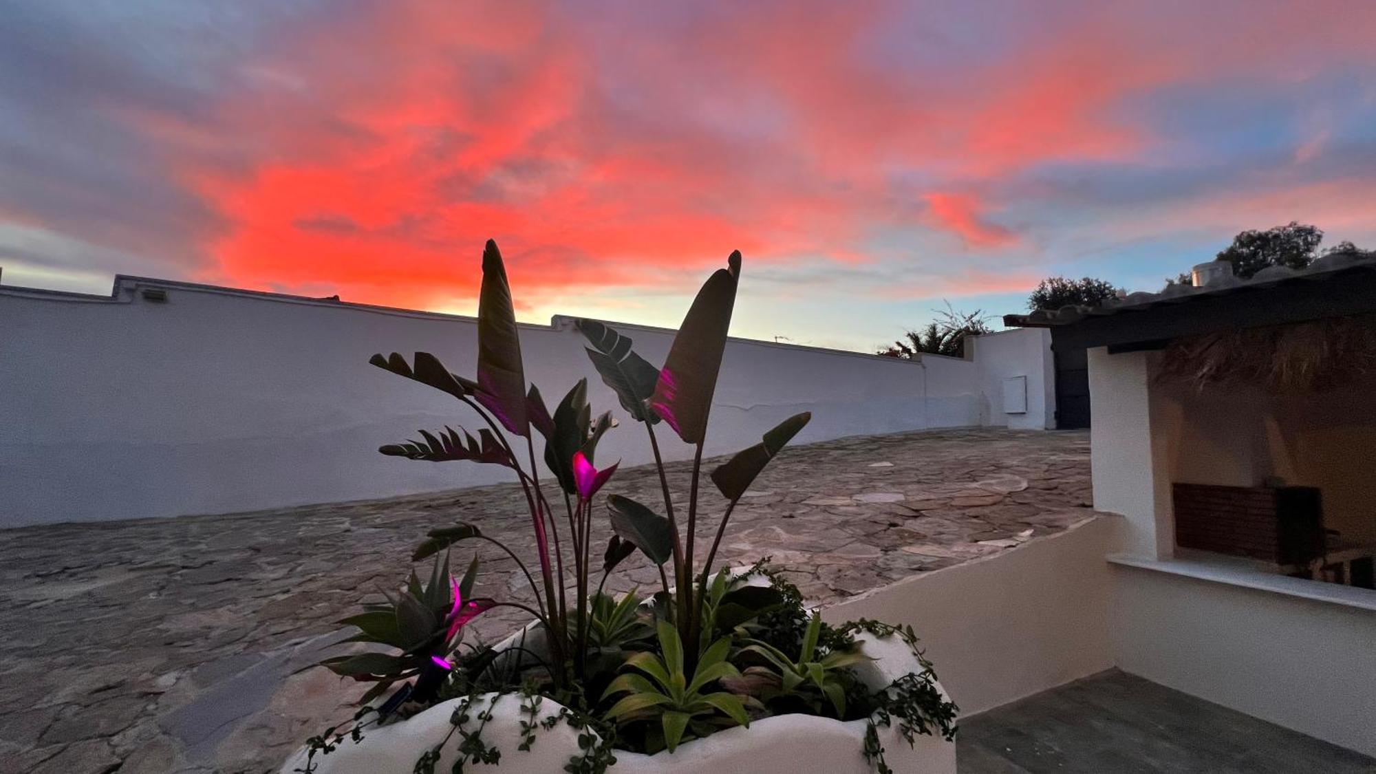 Kiwidestiny Alicante San Juan  Eksteriør bilde